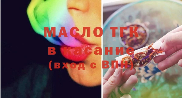 МДПВ Каменка