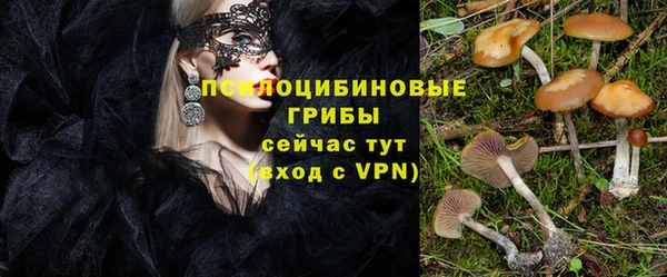 MDMA Карпинск
