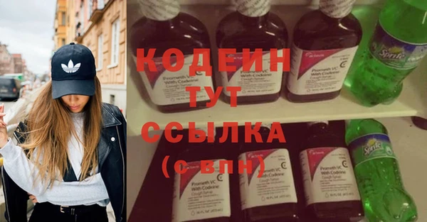 МДПВ Каменка