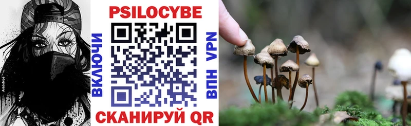 Купить закладки  Каргат  Галлюциногенные грибы мухоморы 