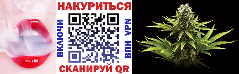Купить где  Каргат  Бошки марихуана Amnesia 